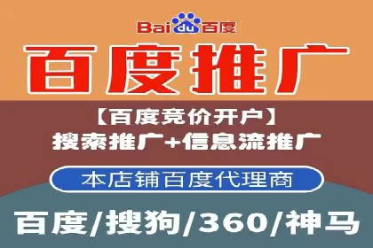 成功案例：SEM竞价代运营助力企业实现持续增长